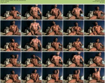 jockfoxxx