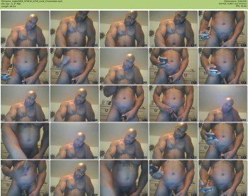 bigbull856