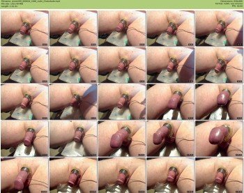 jenne299