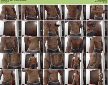 zion_hott