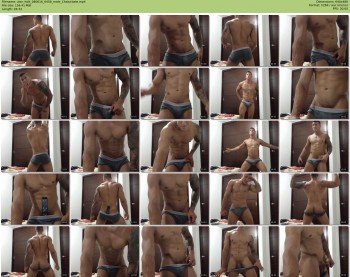 zion_hott