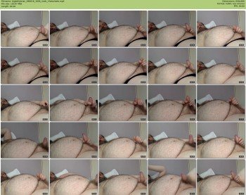 bigbellybrian