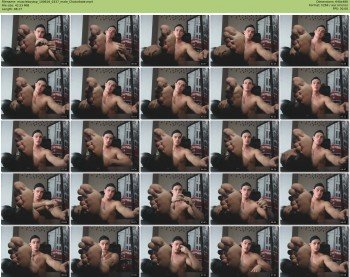muscleboytop