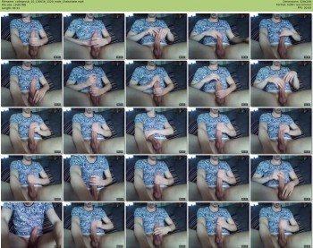collegecub_20
