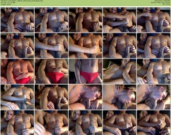 hornystars