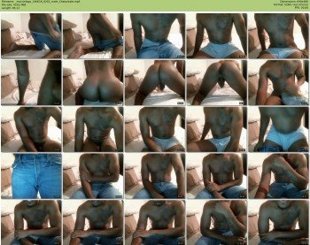 _murcielago