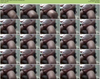 joe_2016