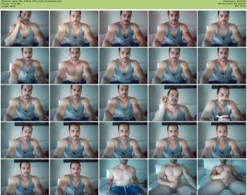 steve_29v