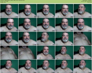 bigdickedbear