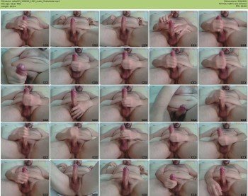 zobat33