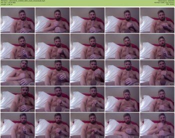 cubcock231