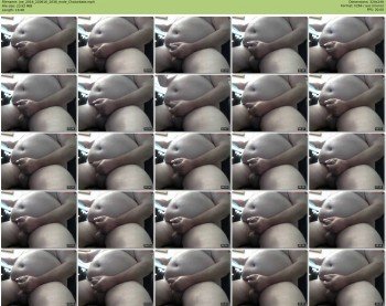 joe_2016