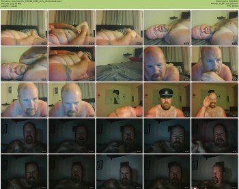 bearinbriefs
