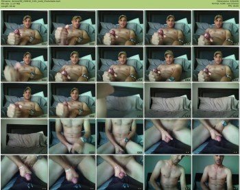 demos290