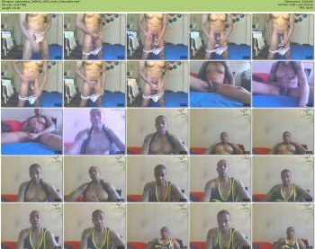 adonisboss