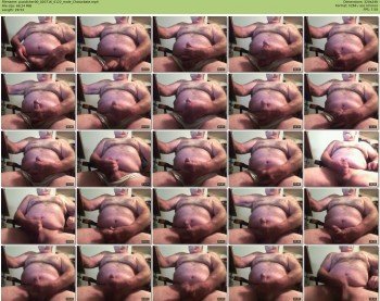 pusslicker00