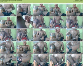 mrcock24cm