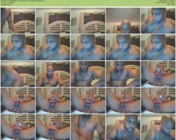 bigbull856