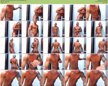 zion_hott