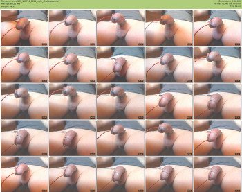 jenne299