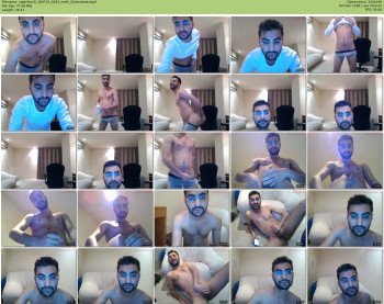 cigarfox16