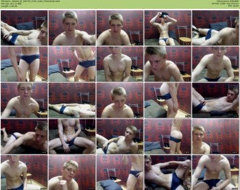 stewart_di
