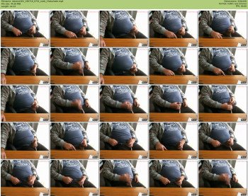 steveo1001
