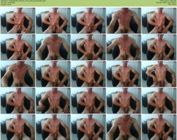 hollander89