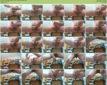 steve0206