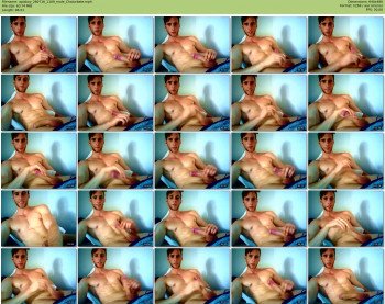apisboy