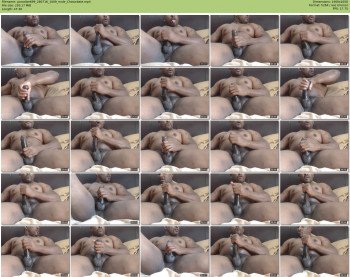 paradise699