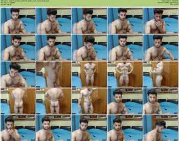 stevemuscleboy