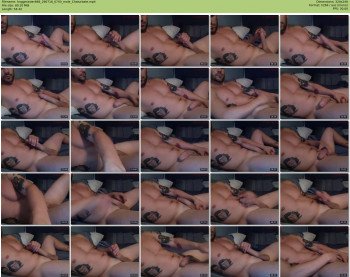 hoggmaster666