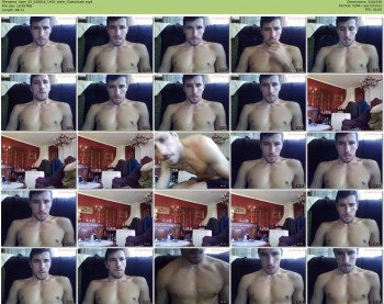 tigre_25