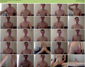 ty_harper