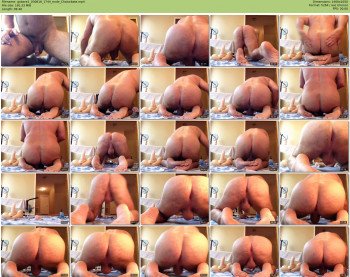 gobare1