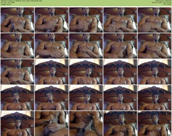 kingd_25