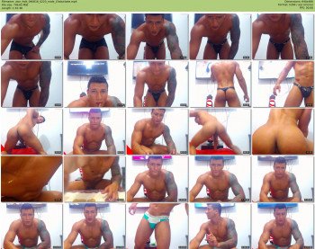 zion_hott