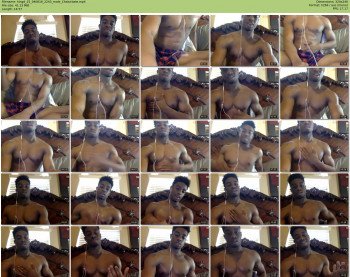 kingd_25