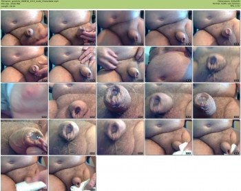 gordo3o