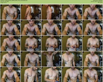 bvfitnessfreak