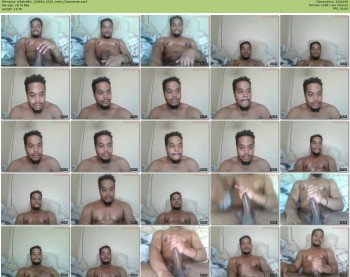 blkdick8in