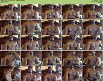 kingd_25