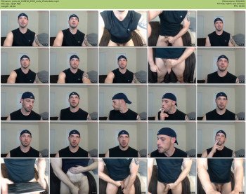 jockcub