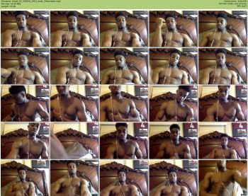 kingd_25