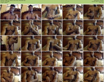 kingd_25