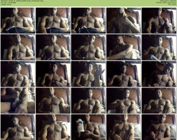 kingd_25