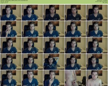 pwnforwildy