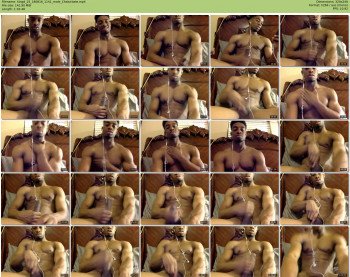 kingd_25