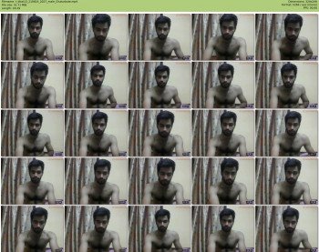 t_bhat13